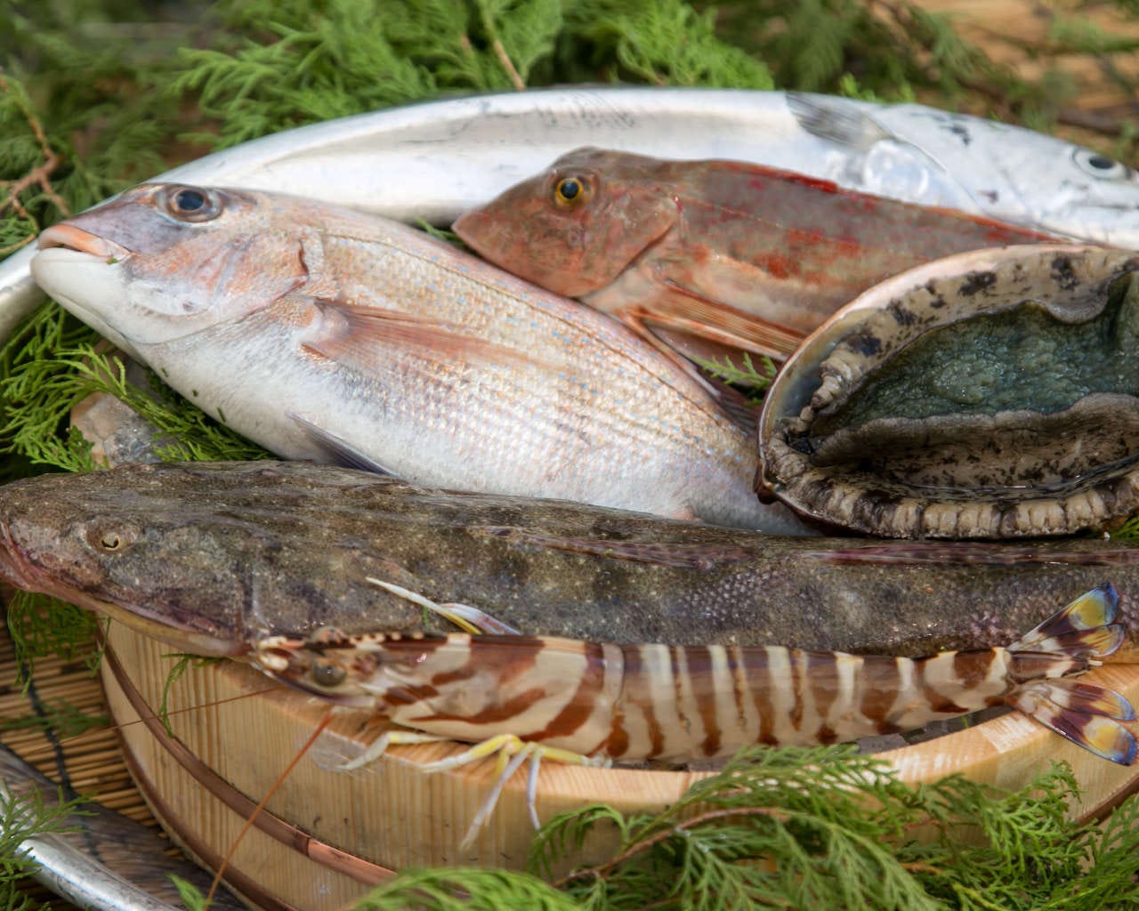 明石昼网鱼彩なかもと 三宫 海鲜料理 Gurunavi 日本美食餐厅指南 明石昼网鱼彩なかもと 三宫 海鲜料理 Gurunavi 日本美食餐厅指南