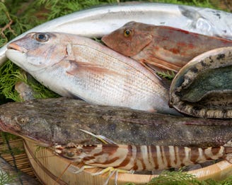 明石昼網 魚彩 なかもと メニュー 明石昼網の太刀魚やカレイなど 昼網の札が貼られどんどん店頭に並びます ぐるなび