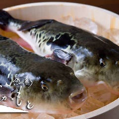 明石昼網 魚彩 なかもと