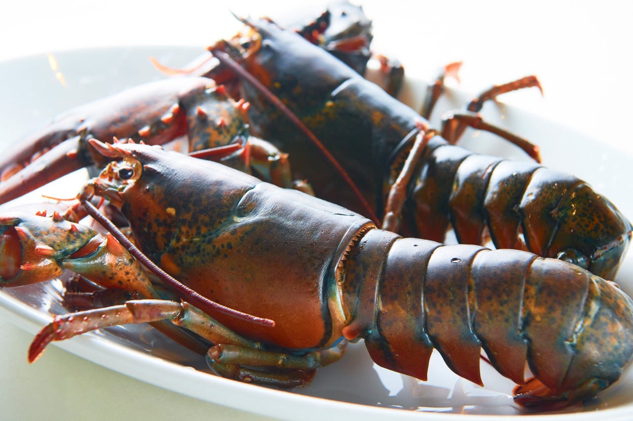 ottimo seafood garden 自慢の食材 オマール海老 ぐるなび ottimo seafood garden 自慢の食材 オマール海老 ぐるなび