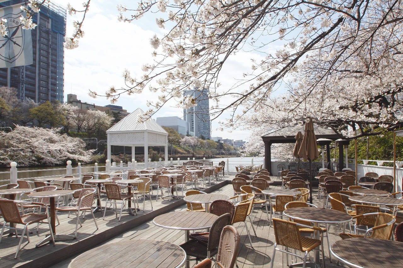 カナル カフェ 飯田橋