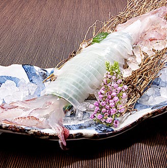 厳選 淀屋橋の活イカ姿造りなど魚料理の店まとめ10選