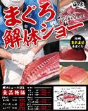 【お得】紀州串本の本マグロが全品お値打ち！