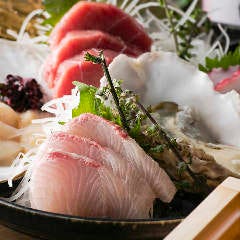 朝採れ鮮魚×炉端焼き×地鶏×餃子 あきら