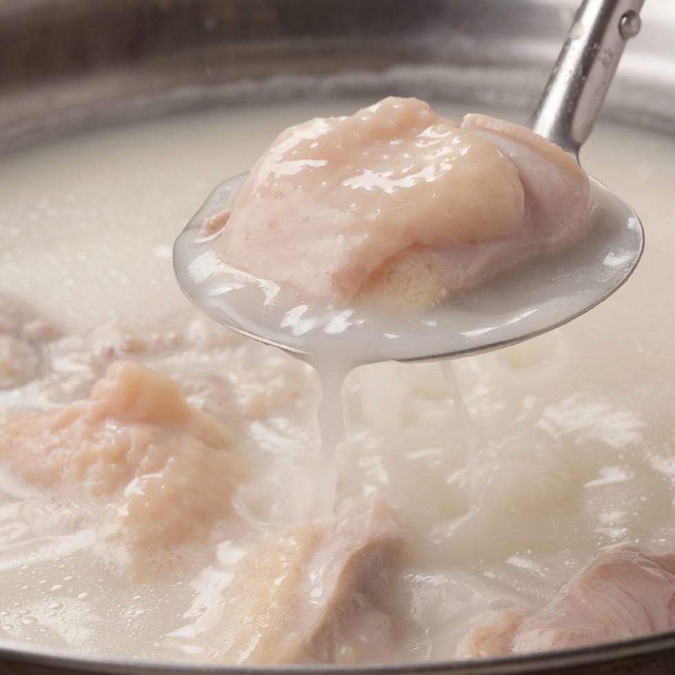 煮込んだ白濁スープ！水炊きが大人気!!【博多 居酒屋】