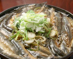 どぜう飯田屋 浅草 どじょう ぐるなび