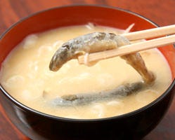 どぜう飯田屋 浅草 どじょう ぐるなび