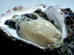 かき小屋ランドリー 裏なんば本店 