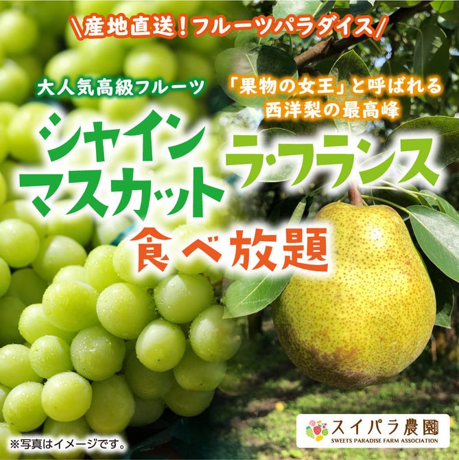 スイーツパラダイス 川崎ダイス店 川崎 バイキング ビュッフェ ぐるなび スイーツパラダイス 川崎ダイス店 川崎 バイキング ビュッフェ ぐるなび