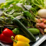 ハンバーグのそえ野菜やサラダには、自家栽培した旬の野菜を使用しています。