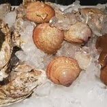 旬の貝類【北海道から沖縄まで】