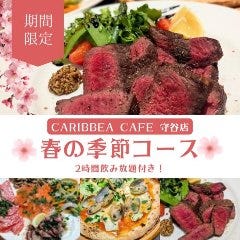 CARIBBEAN CAFE 守谷店