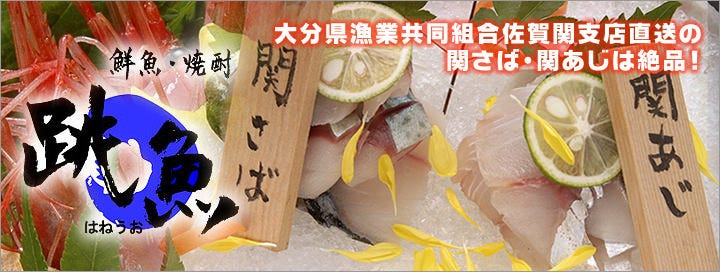 跳魚 本館