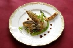 茶葉蘭