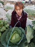 【有機野菜】
無農薬有機野菜を栽培♪体に良い美味しい野菜を！