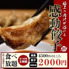 卑弥呼の肉汁餃子６個　【焼・水・揚】
