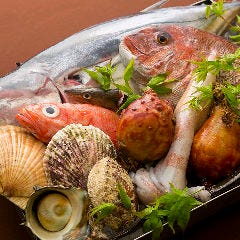 新鮮魚介！店主自ら毎朝市場に仕入れに行っております！
