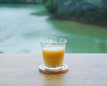 ウルトラディープ　オレンジ（季節の無農薬柑橘・てんさい糖・コンブチャ）