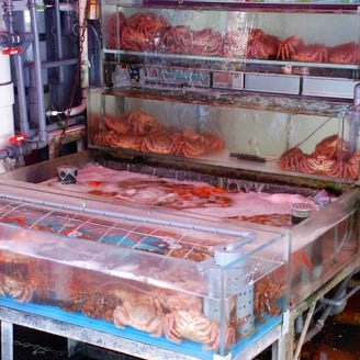 函館朝市 栄屋 よさこい食堂 こだわり情報5 ぐるなび