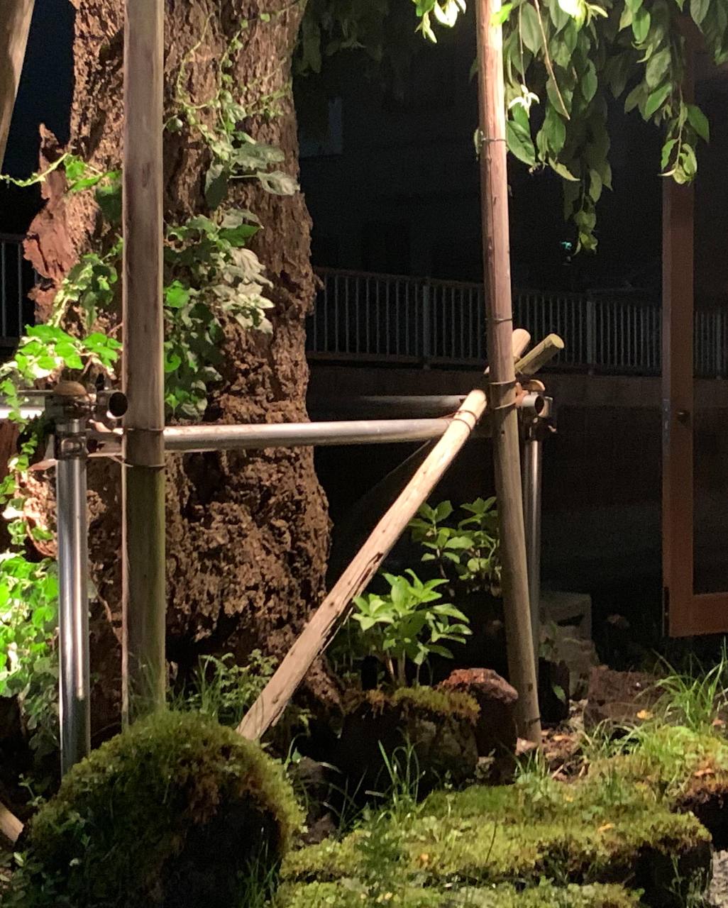 魁照片 河口湖 富士吉田 山中湖 居酒屋 Gurunavi 日本美食餐厅指南 魁照片 河口湖 富士吉田 山中湖 居酒屋 Gurunavi 日本美食餐厅指南