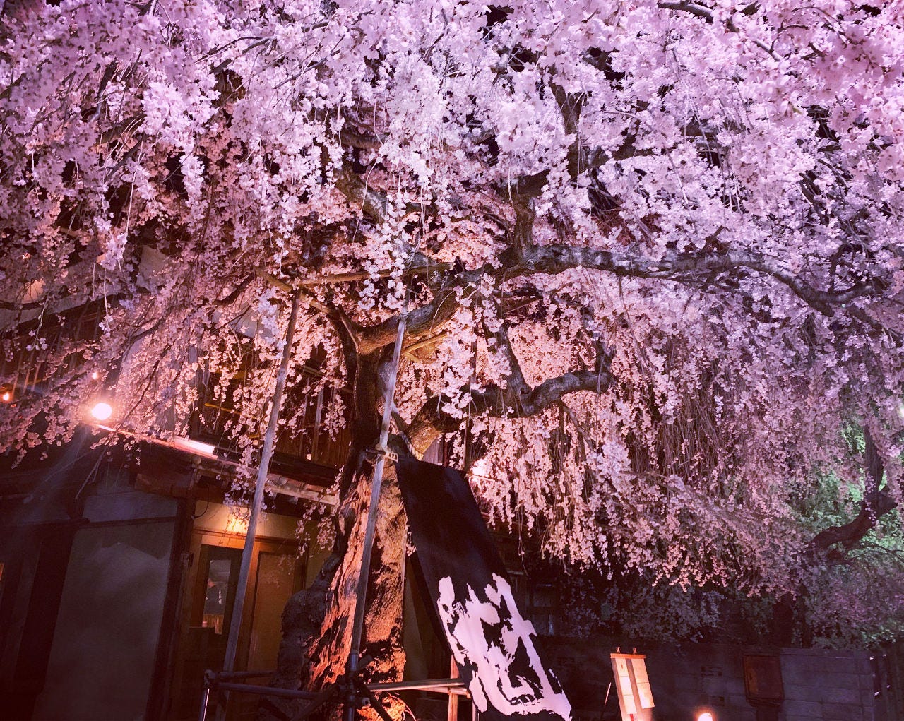 魁 河口湖 富士吉田 山中湖 居酒屋 Gurunavi 日本美食餐廳指南 魁 河口湖 富士吉田 山中湖 居酒屋 Gurunavi 日本美食餐廳指南