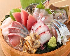 本日のセリ買い鮮魚 大魚（おおうお）