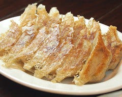 13種類の食材を絶妙なバランスで組み合わせた焼餃子