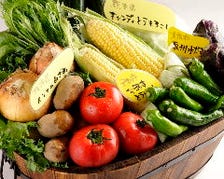 産地直送！旬野菜が旨い！