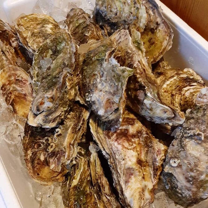呑処 眞 名東区 藤が丘 居酒屋 ぐるなび