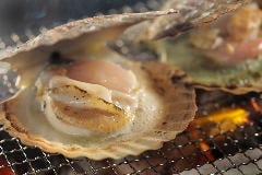 守口 海のや