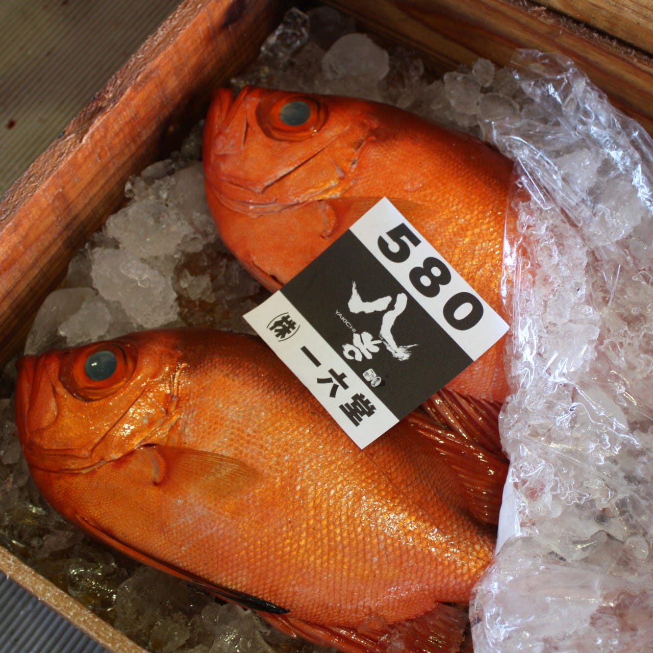 個室居酒屋八吉八重洲仲通り本店相片 東京站 八重洲 生魚片 海鮮料理 Gurunavi 日本美食餐廳指南