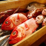 小田原や館山の市場から毎日届く獲れたて鮮魚はお刺身でどうぞ！