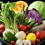 地元愛知県の朝露滴る新鮮な旬野菜。彩りサラダや串揚げをご用意
