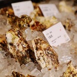日本全国新鮮な牡蠣【北海道～九州まで】