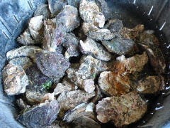 新宿オイスターバー COVO 