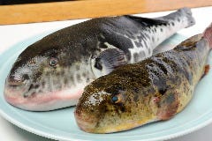 呉竹 松本 ふぐ ふぐ料理 ぐるなび