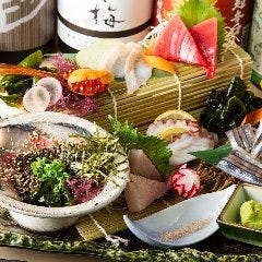 肴と一献 魚びたり