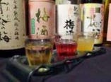 選べる3種☆地梅酒＆果実酒飲み比べセット（390円×2）