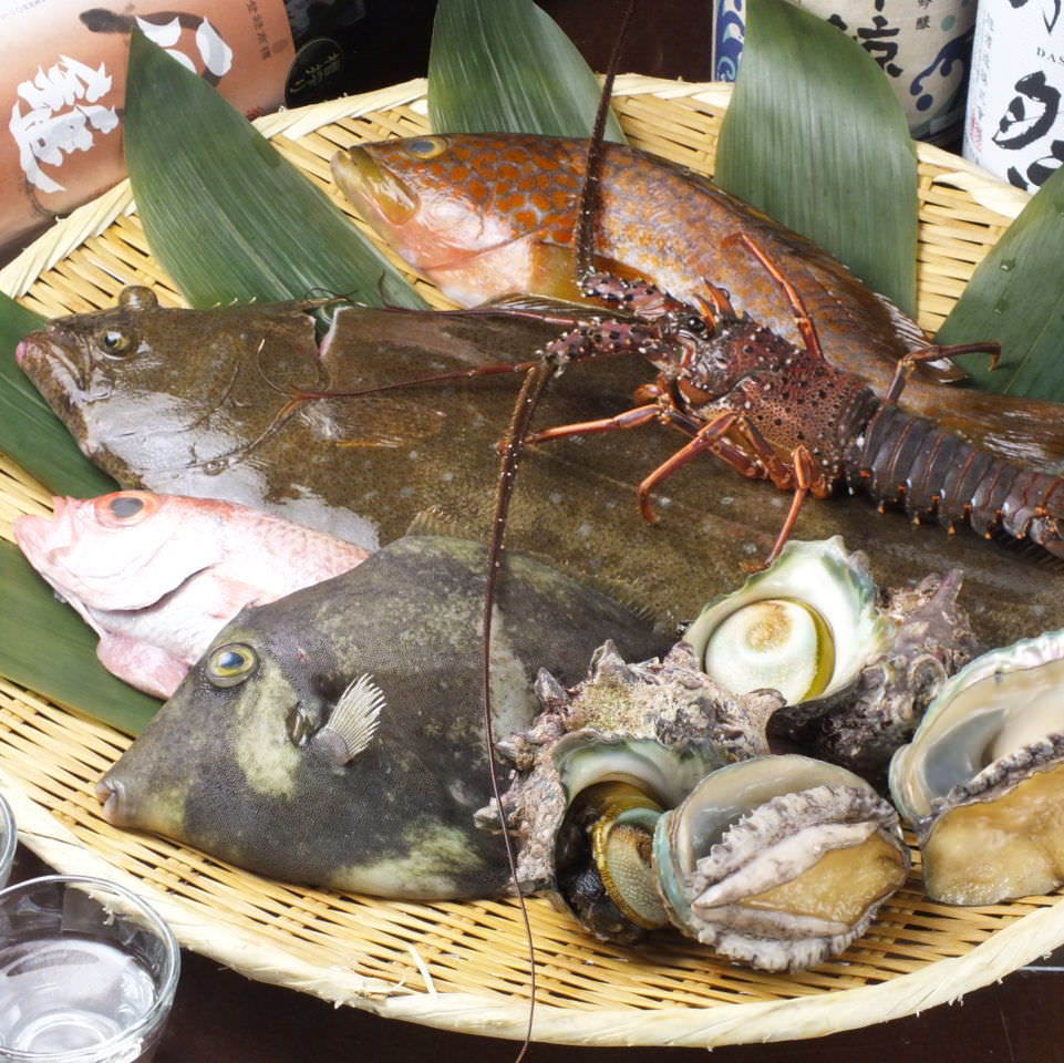 地魚 和食居酒屋 てんまい 錦糸町 料理 ドリンク ぐるなび