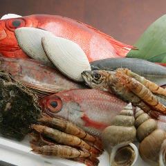 瀬戸内朝採れ鮮魚と酒菜 蒼