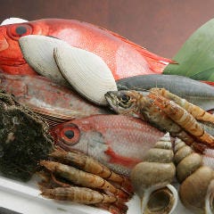 瀬戸内朝採れ鮮魚と酒菜 蒼