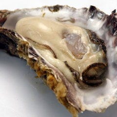 牡蠣・串揚げ COZYダイナー