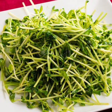 本格中華居酒屋 揚揚 神田店_豆苗炒め