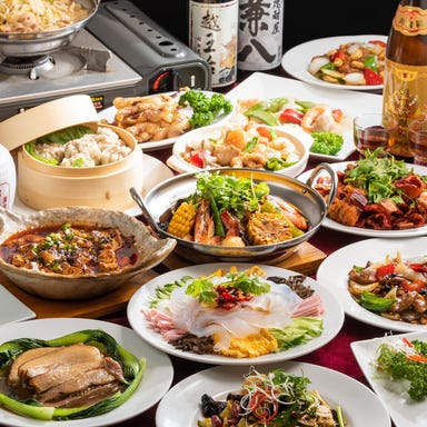 本格中華居酒屋 揚揚 神田店_【2時間飲み放題】★食べ放題付!全11品★肉汁焼き餃子&酢豚を堪能!お得コース!