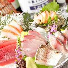 釣宿酒場 マヅメ 浦和店