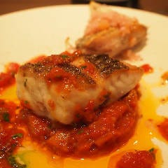 Bisteria Satollo （ビステリア サトッロ）