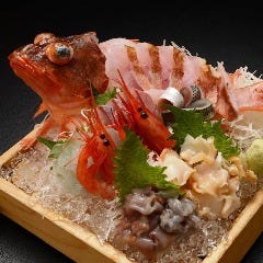 寿司・割烹 四六八ちゃ 桜木町本店