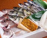 独自ルートで日本海直送の天然魚介
旬を堪能してください。