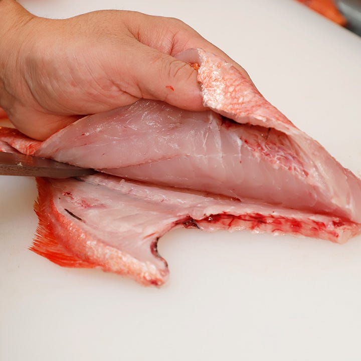 刺身で食すとその新鮮さがわかる豊洲市場直送の旬魚