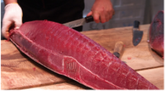 屋形船 すずよし